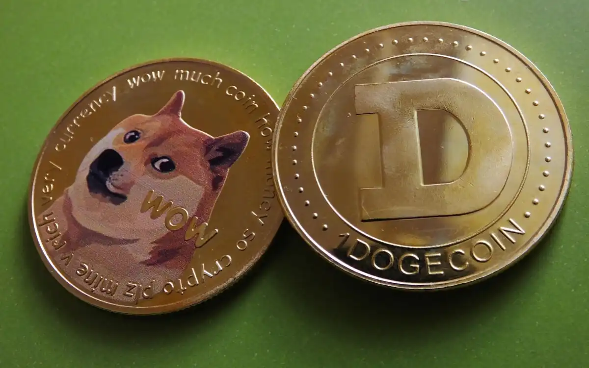 A Look at DOGE Price Tumble and Potential Recovery